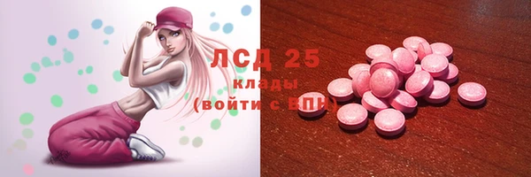 PSILOCYBIN Лабытнанги